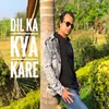 About DIL KA KYA KARE Song